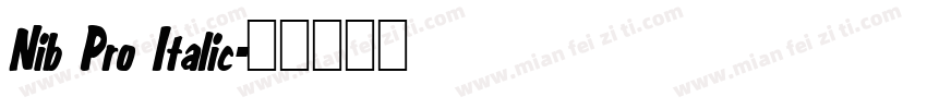 Nib Pro Italic字体转换